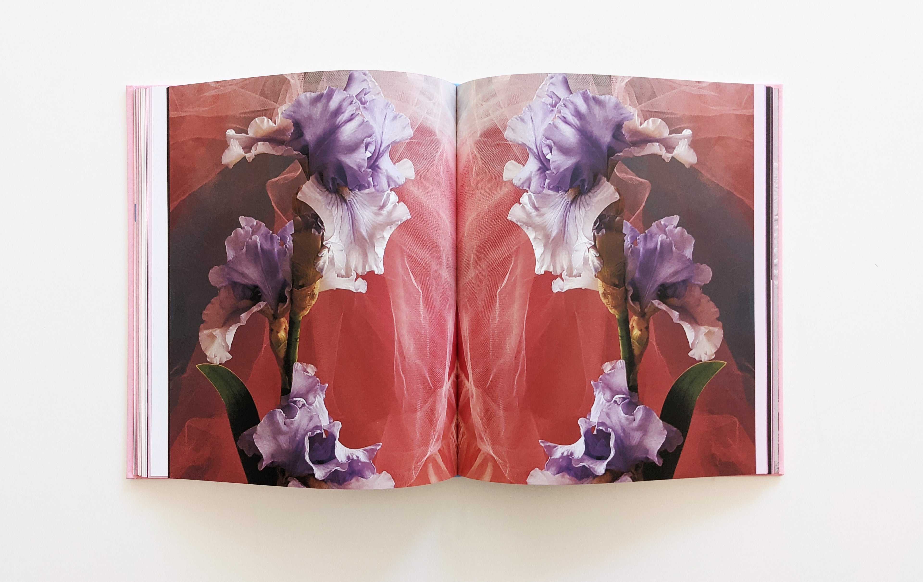The Pink Book - Henry von Doussa